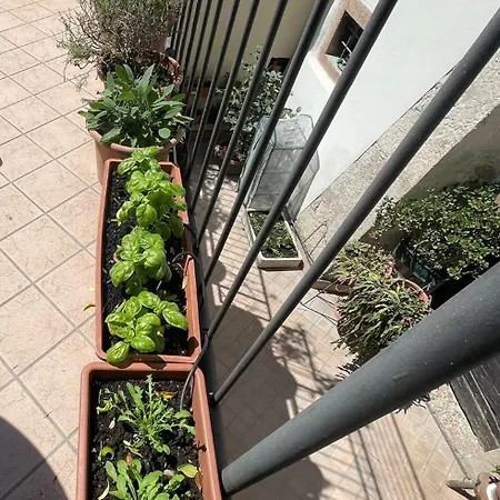 Al Gallo Con Terrazzo Apartment